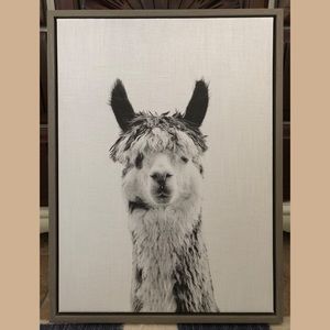 Black and White Llama Print